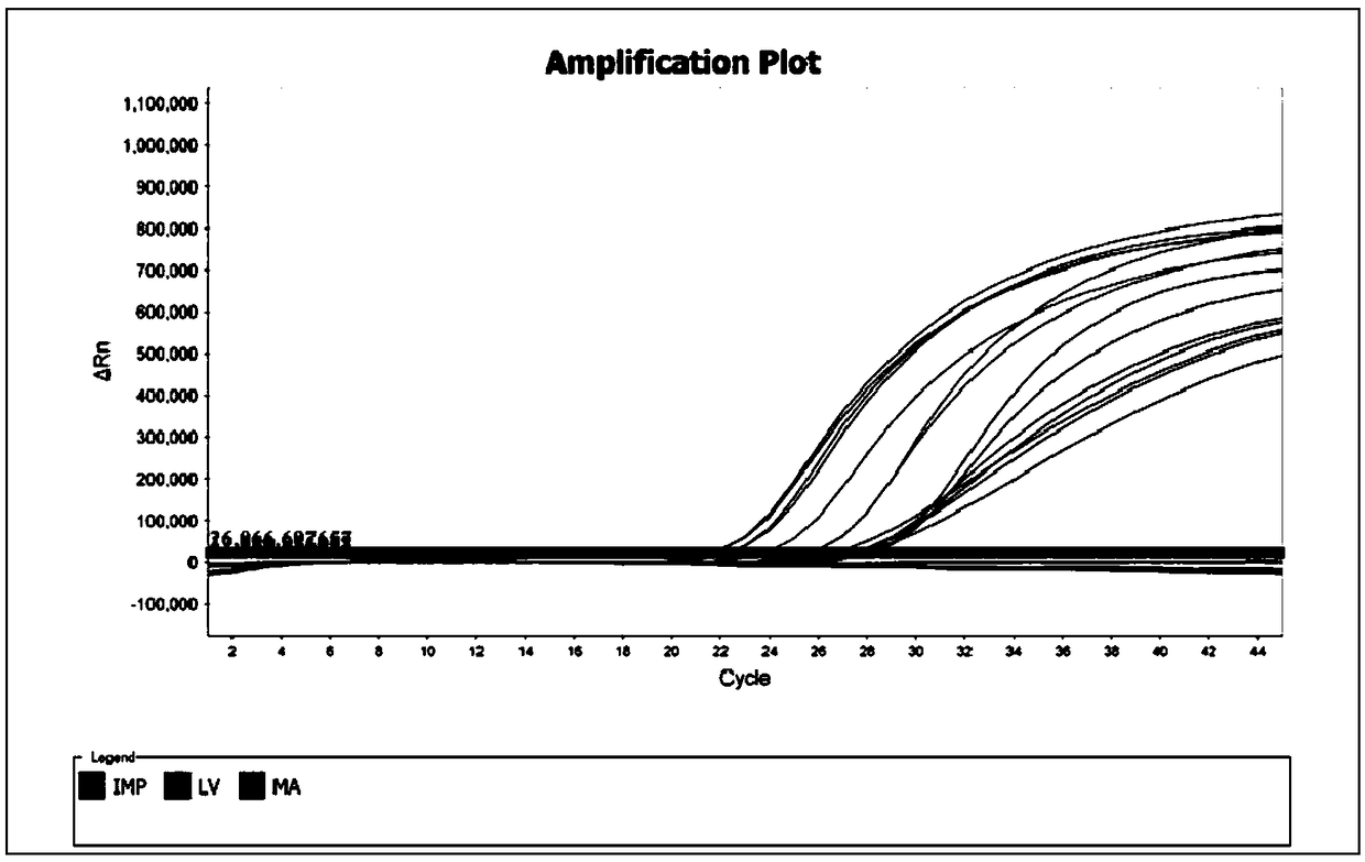 Kit capable of being applied to high-throughput extraction of genome DNA from animal tissue and extraction method thereof