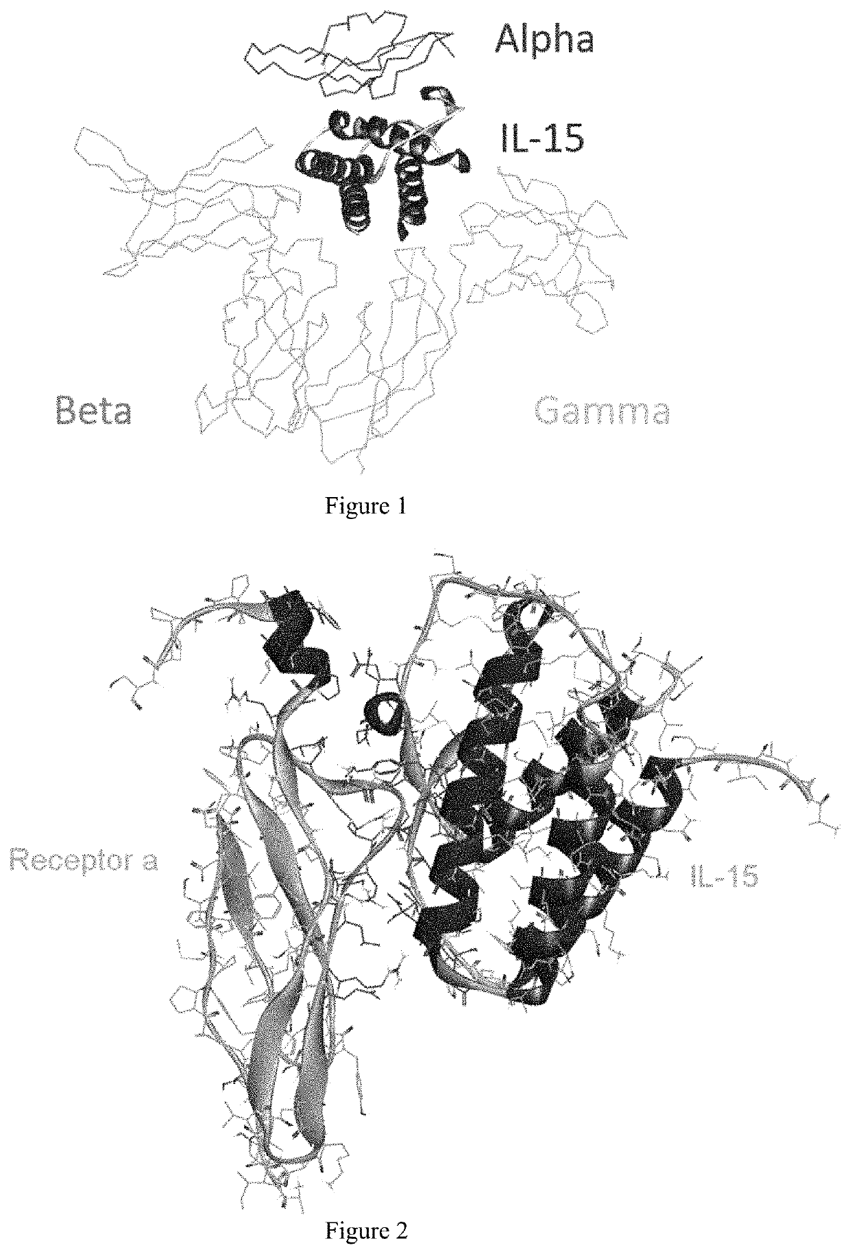 Interleukin 15 protein complex