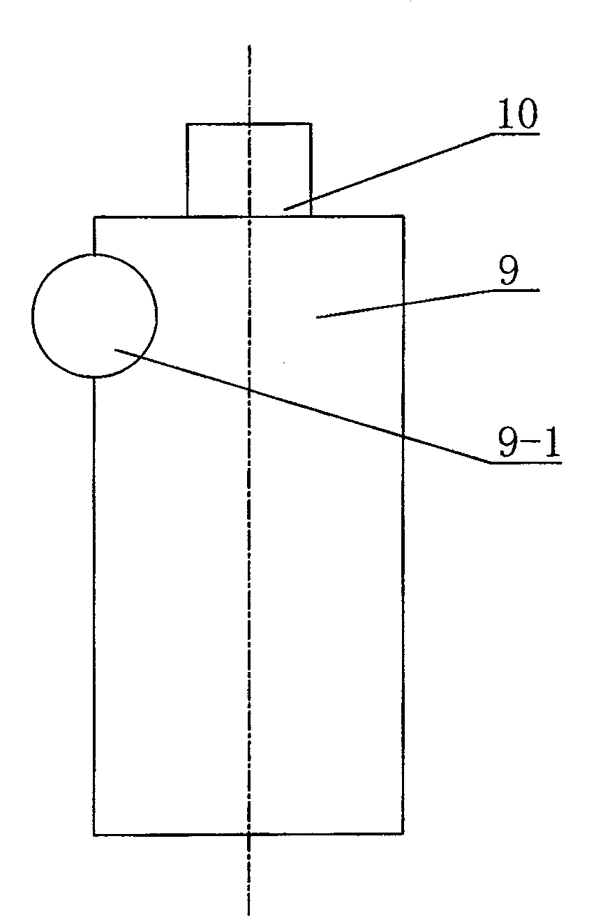 Method and device for on-line production of carbon dioxide ion water