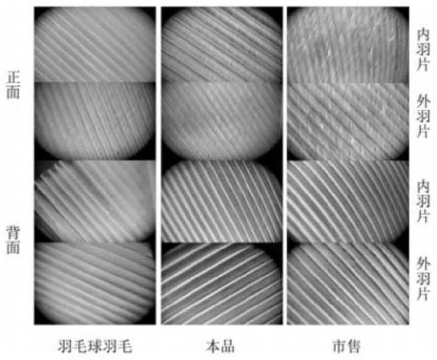 Feather cleaning agent and preparation method thereof