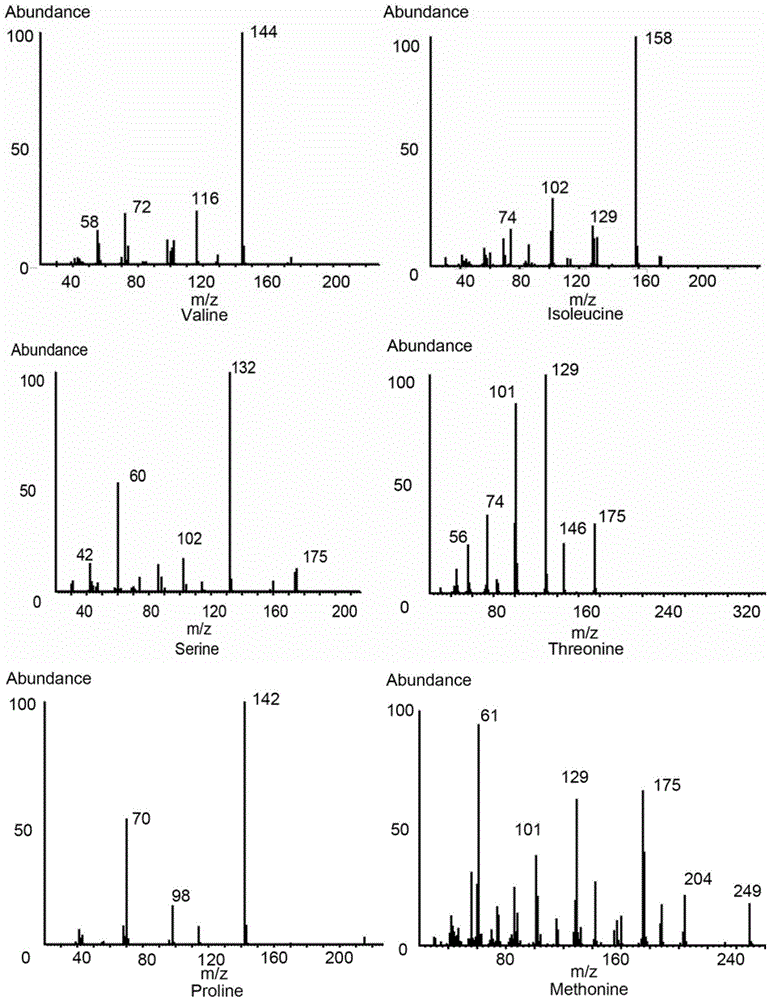 Application of amino acid molecular combination as stomach cancer marker