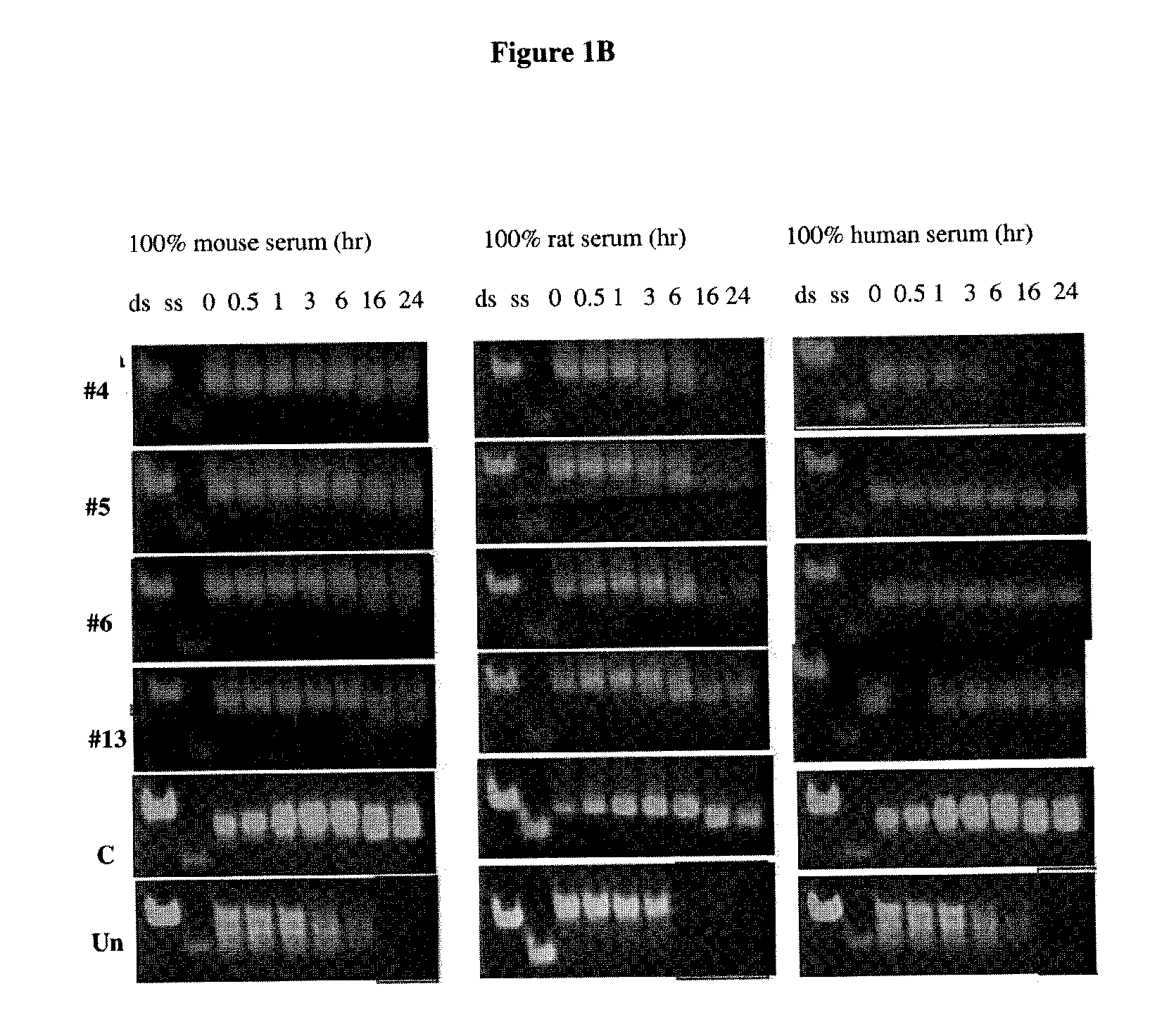 Novel sirna structures