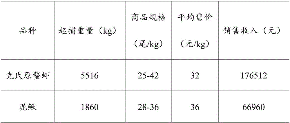 Rice-shrimp-loach coupled cultivating method and paddy comprehensive planting-cultivating mode