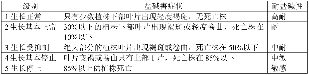 Saline-alkali-tolerant barley breeding method