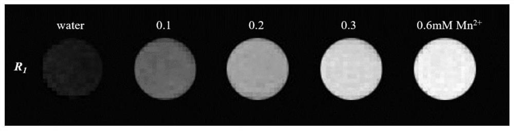 Preparation method of a supramolecular polyelectrolyte micellar magnetic resonance imaging contrast agent