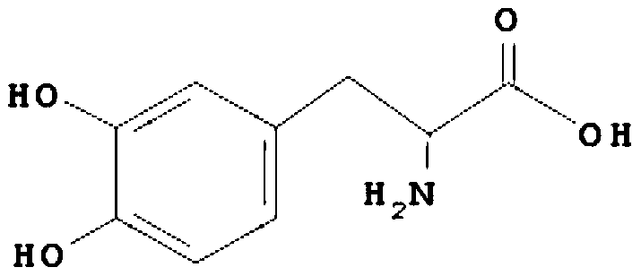 Pyruvic acid and L-dopa co-production process and application