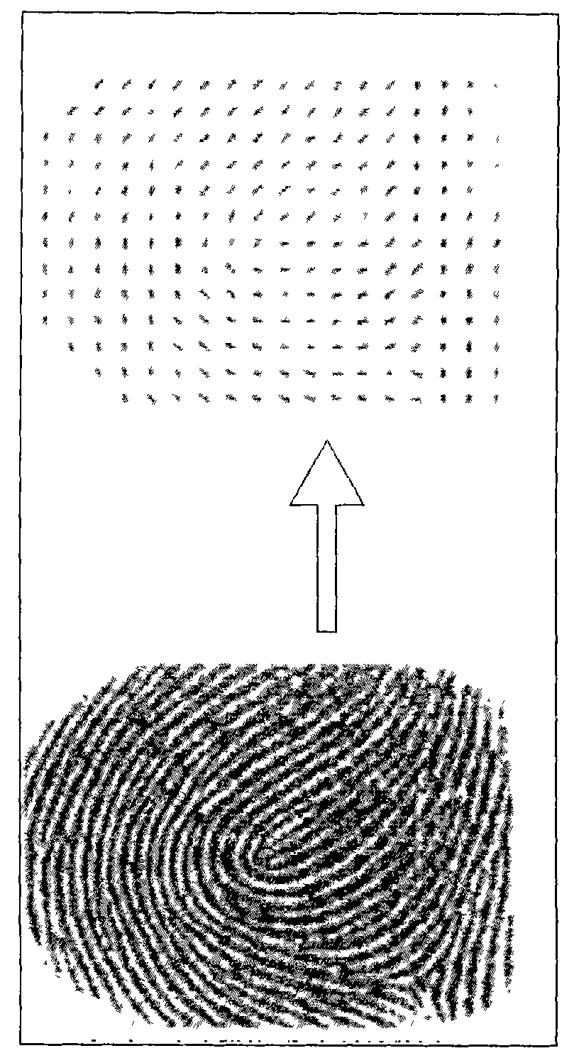 High-efficiency fingerprint image processing method