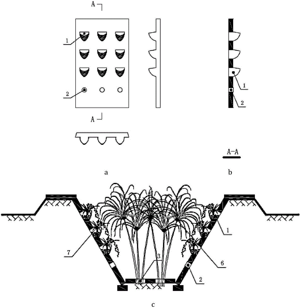 Building method for farmland ecological drainage ditch preventing ditch wall soil loss