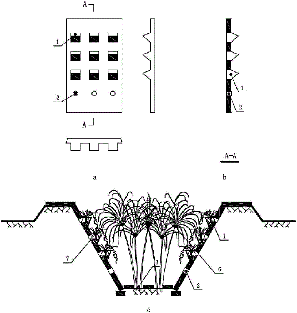 Building method for farmland ecological drainage ditch preventing ditch wall soil loss