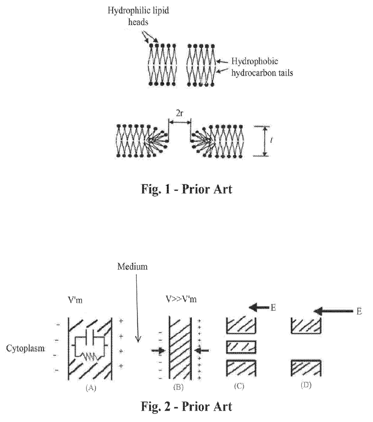 Radio-frequency electrical membrane breakdown for the treatment of adipose tissue and removal of unwanted body fat