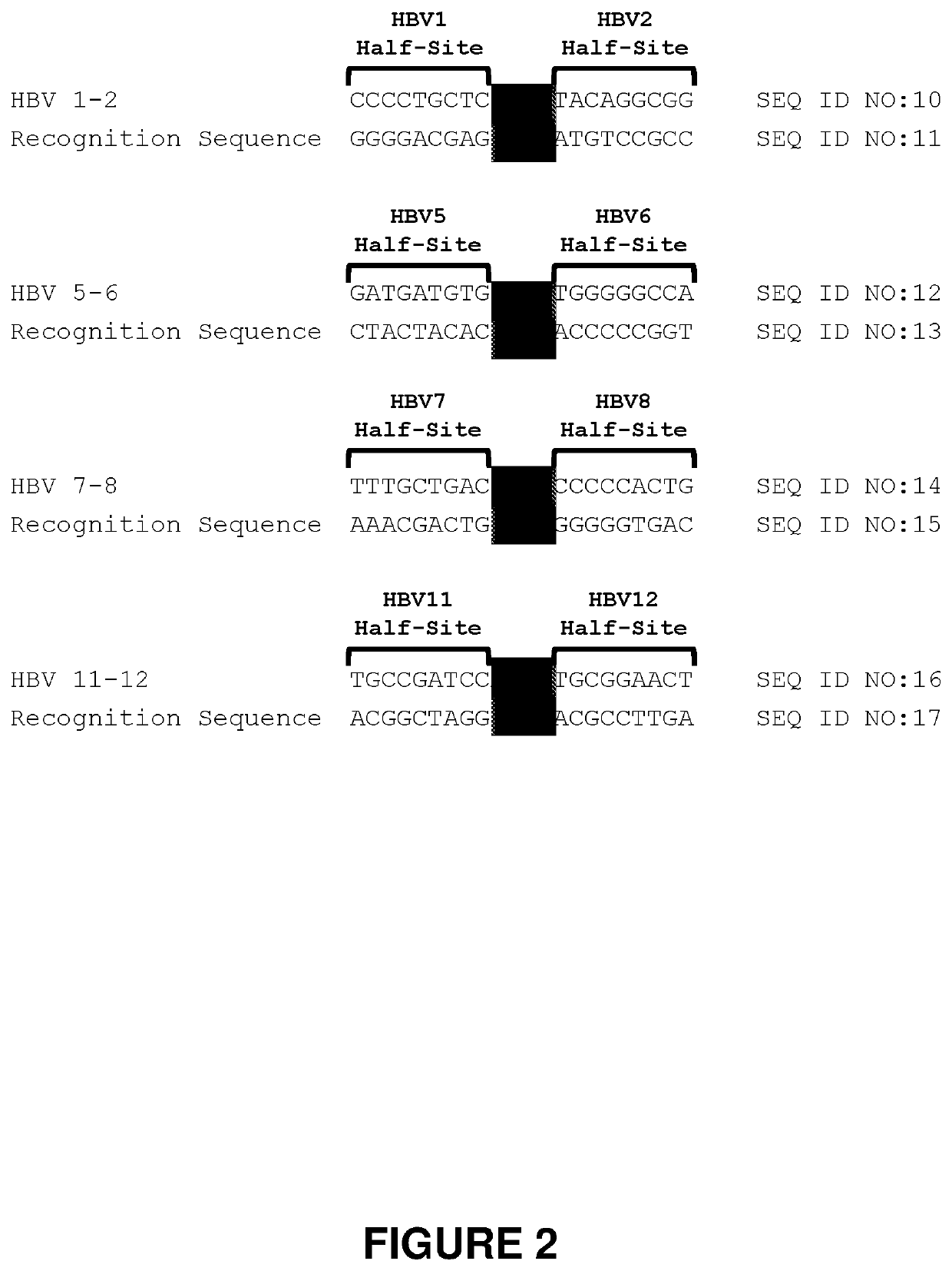 Engineered meganucleases specific for recognition sequences in the hepatitis B virus genome