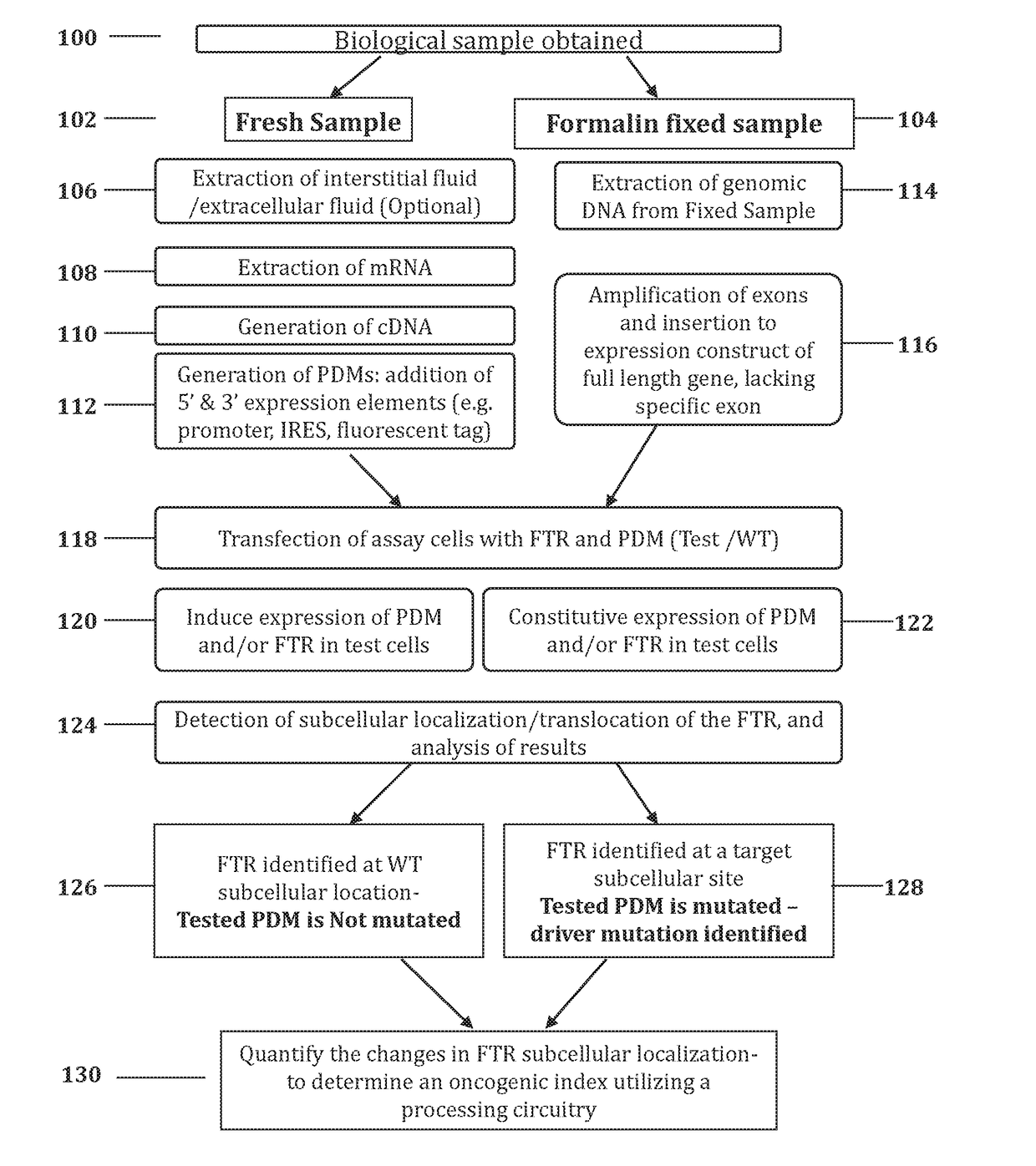 Methods and systems for determining oncogenic index of patient specific mutations