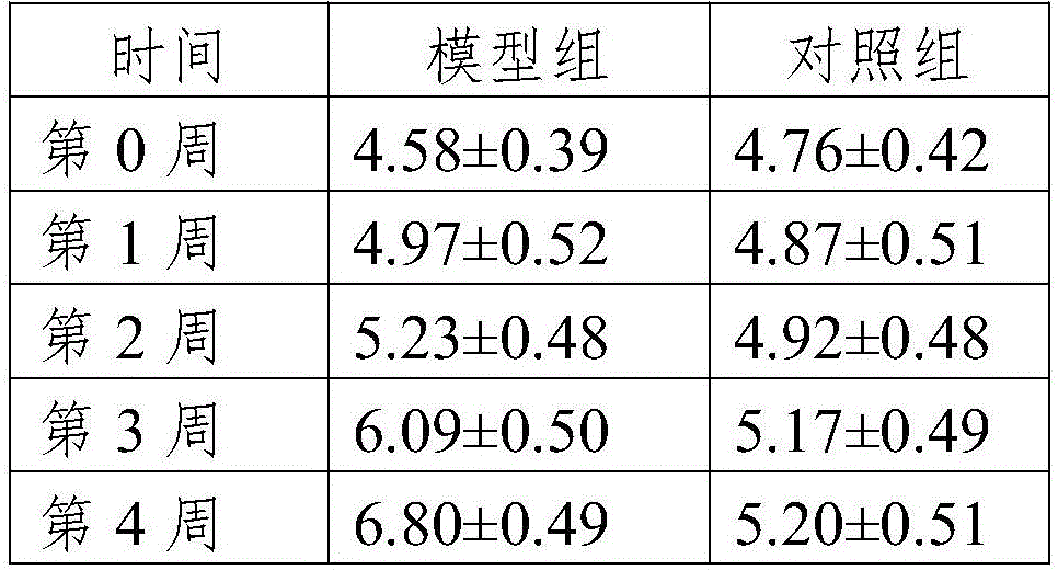 High fat feed and type II diabetes animal model