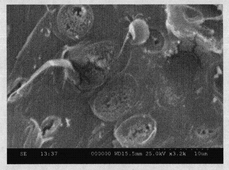 Soybean protein-calcium carbonate nano-adhesive as well as preparation method and application thereof