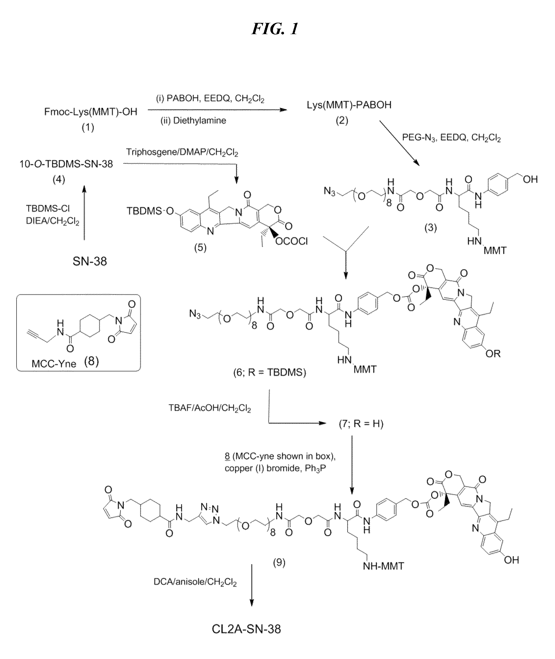 Antibody-SN-38 immunoconjugates with a CL2A linker