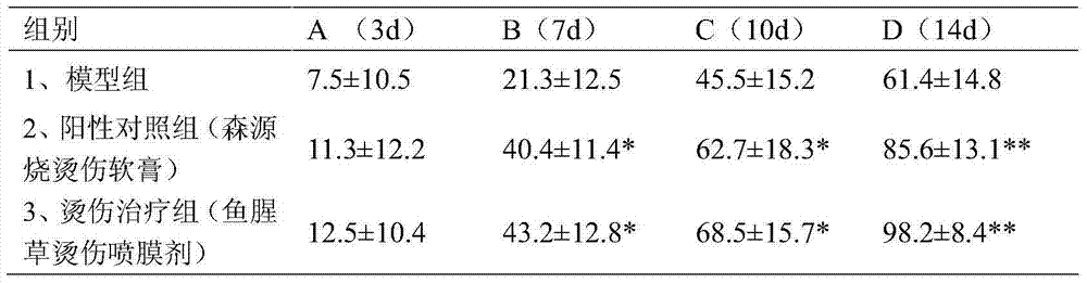 Houttuynia cordata scalding spray film agent and preparation method thereof