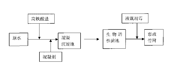 Ferrate pre-oxidation-bioactivity filter combined water treatment method