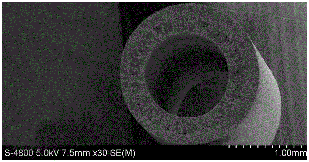 Carbon nano tube/porous ceramic hollow fiber composite ultrafiltration membrane as well as preparation method and application thereof