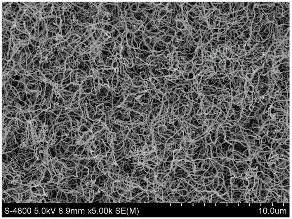 Carbon nano tube/porous ceramic hollow fiber composite ultrafiltration membrane as well as preparation method and application thereof