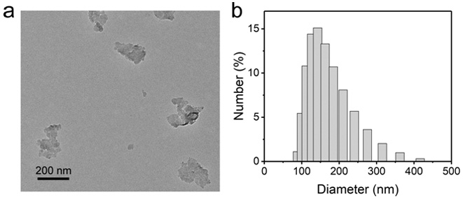 Preparation method and application of photocatalyst based on arginine aptamer