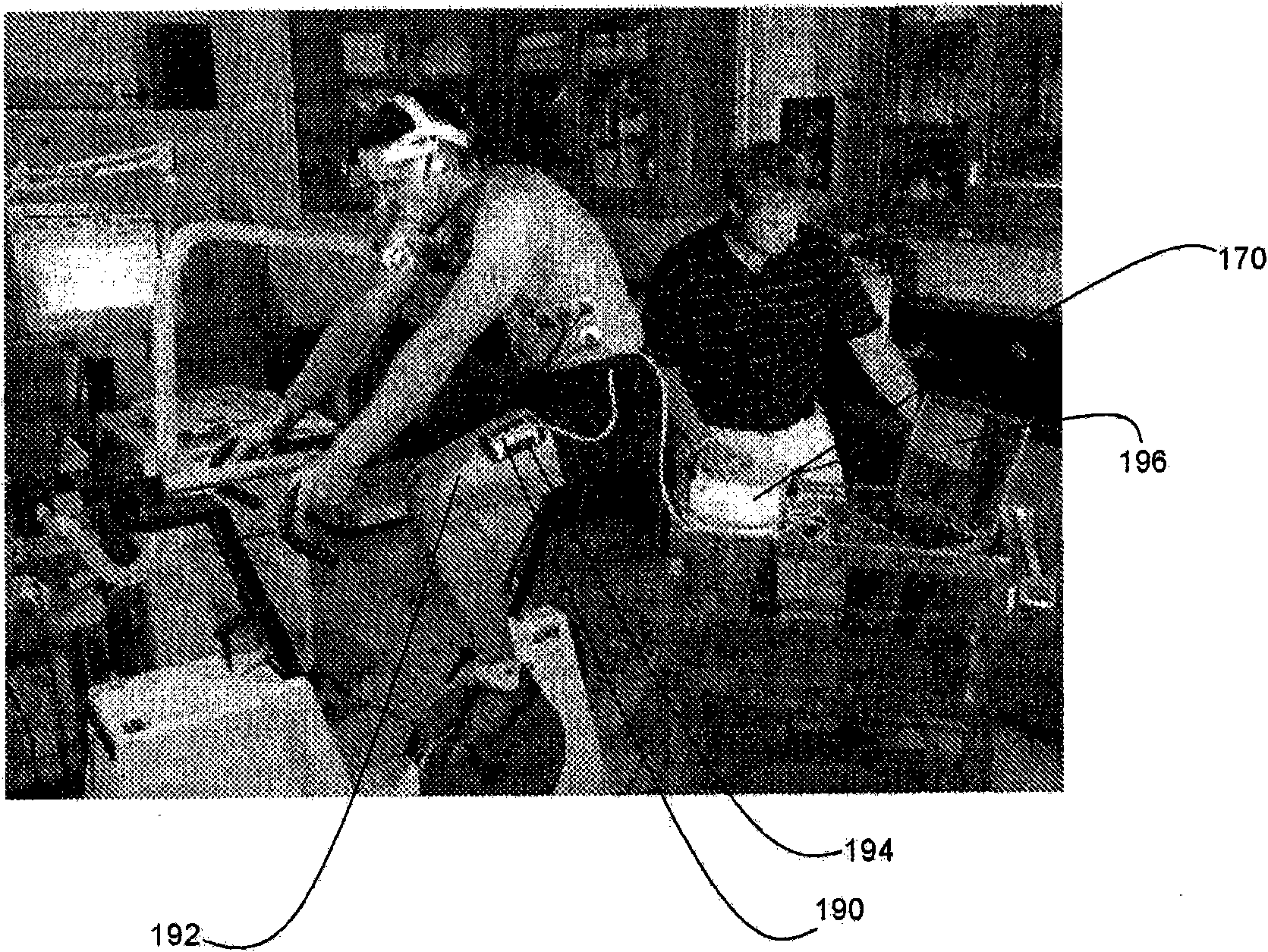 Physical performance monitoring and monitors