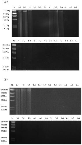 A method for extracting microbial genome dna from poplar wood