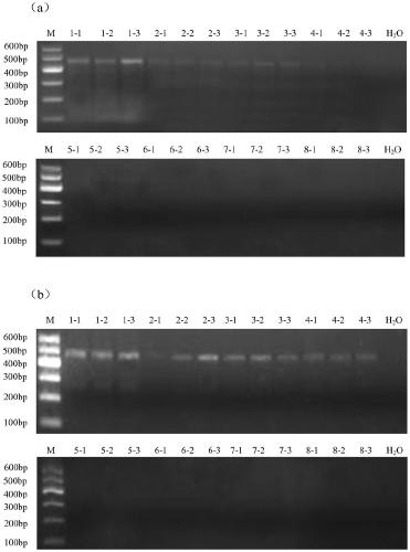 A method for extracting microbial genome dna from poplar wood