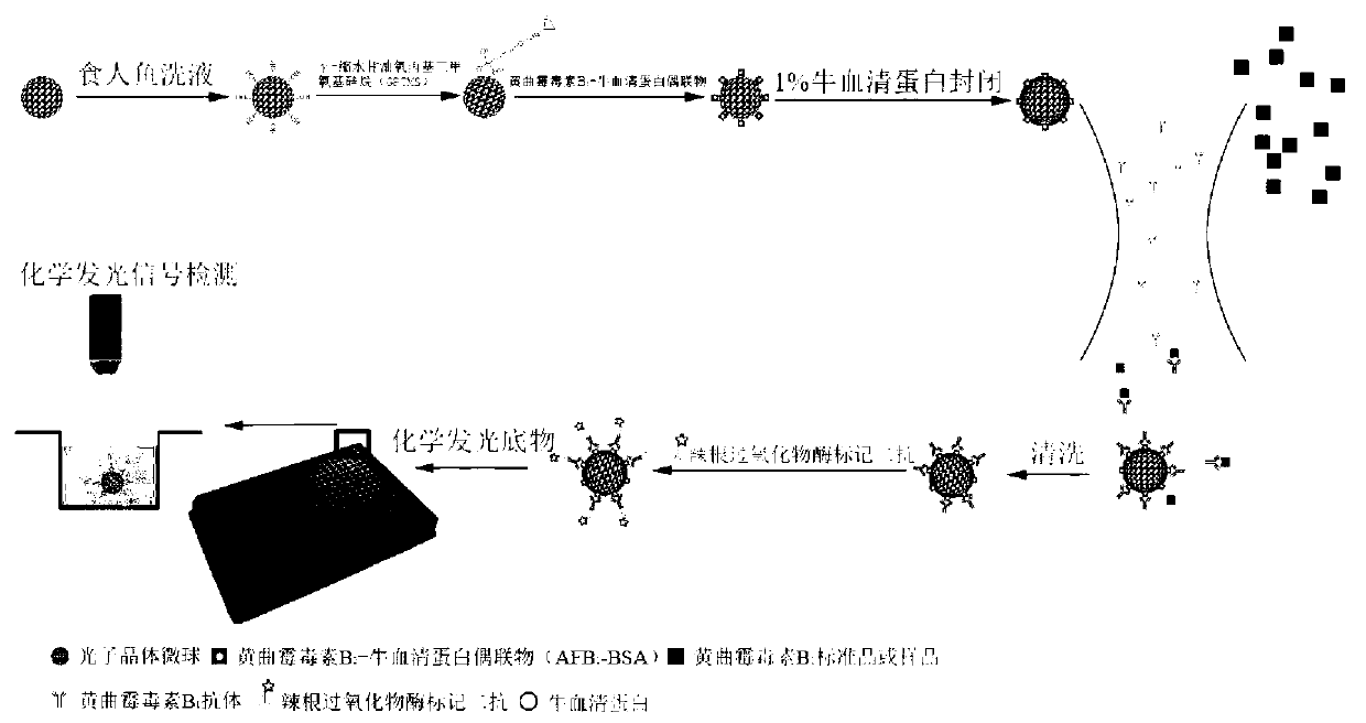 Method for detecting aflatoxin B1 with high sensitivity in single-bead photonic crystal microsphere suspension array chemiluminescence way