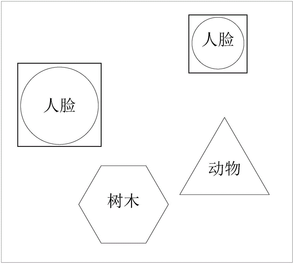 Gender identification method and apparatus based on face image