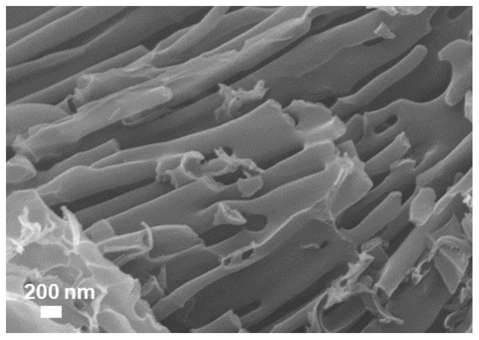 Coral-like strip-shaped porous carbon as well as preparation method and application thereof