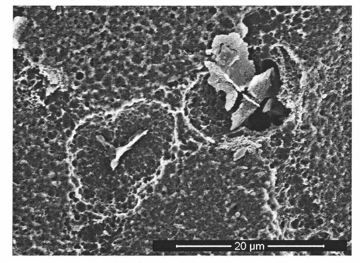 Treatment liquid and method or preparing Ti/Zr-containing yellow passive film on surface of aluminum alloy