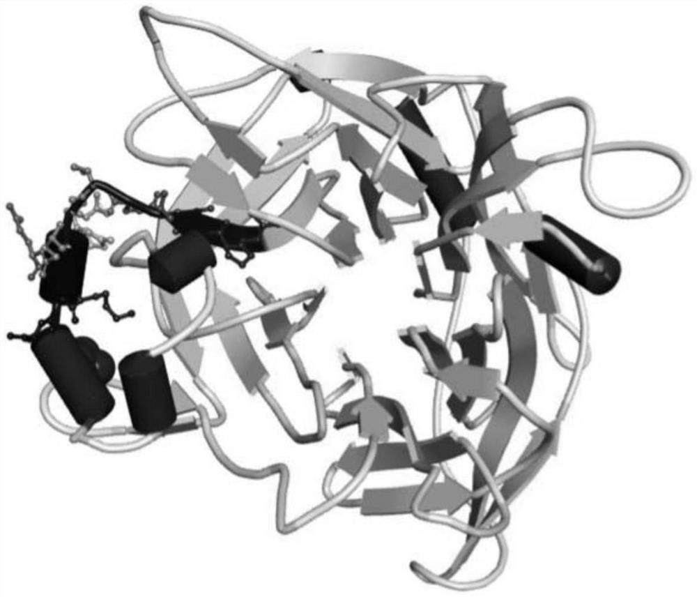 Peptides des petits ruminants virus hn protein antigen epitope peptide h362 and its determination, preparation method and application