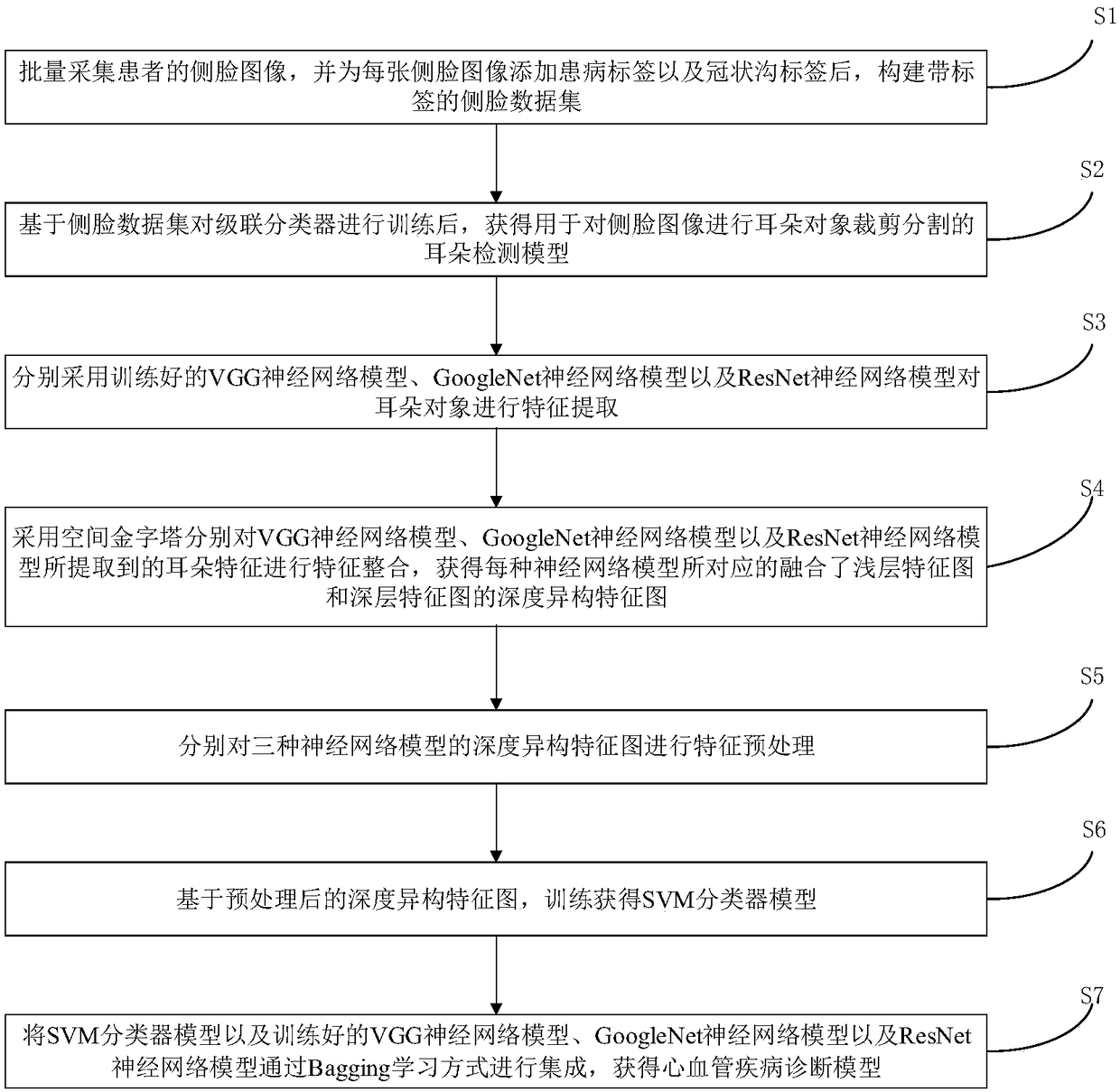 Method and system for constructing cardiovascular disease diagnostic model, and diagnostic model thereof