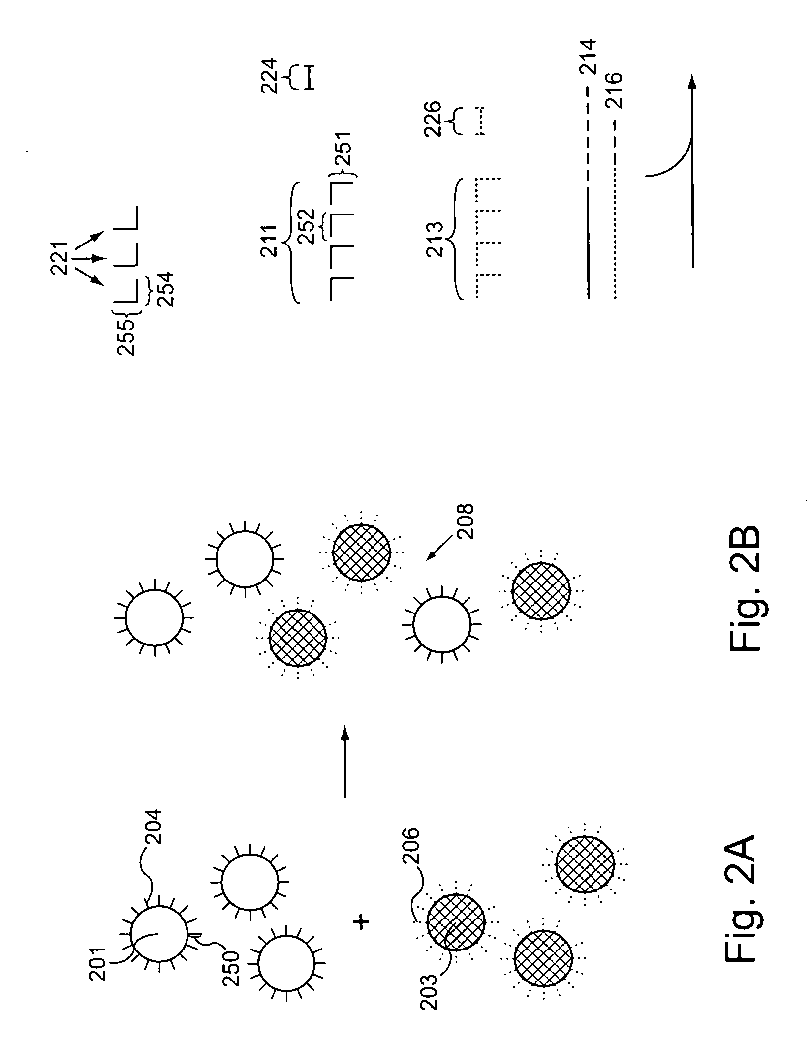 Assays for determining telomere length and repeated sequence copy number