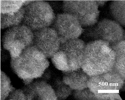 Preparation method and application of three-dimensional hollow multilevel-structured stannic oxide gas-sensitive material