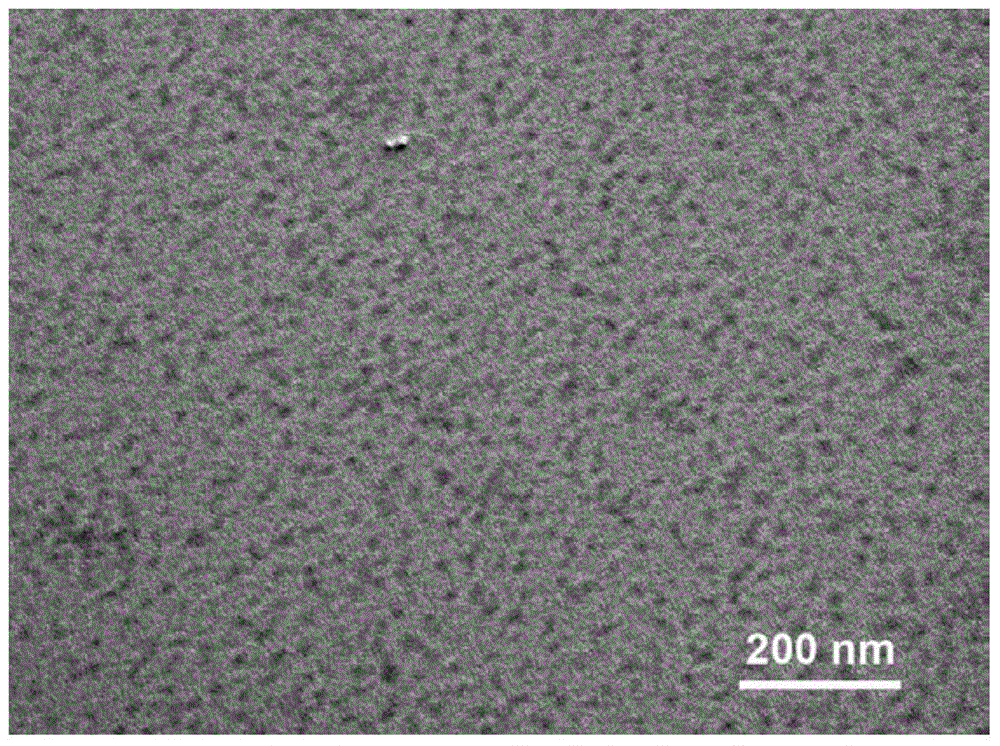 A water-dispersed hyperbranched conjugated polymer fluorescent nanoparticle and its preparation method and application