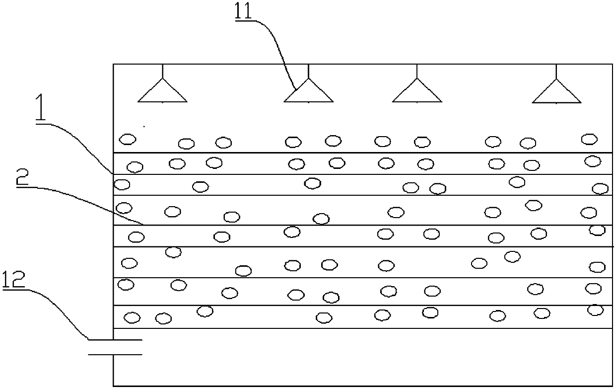 Fast propagation method of macadimia nut seedlings