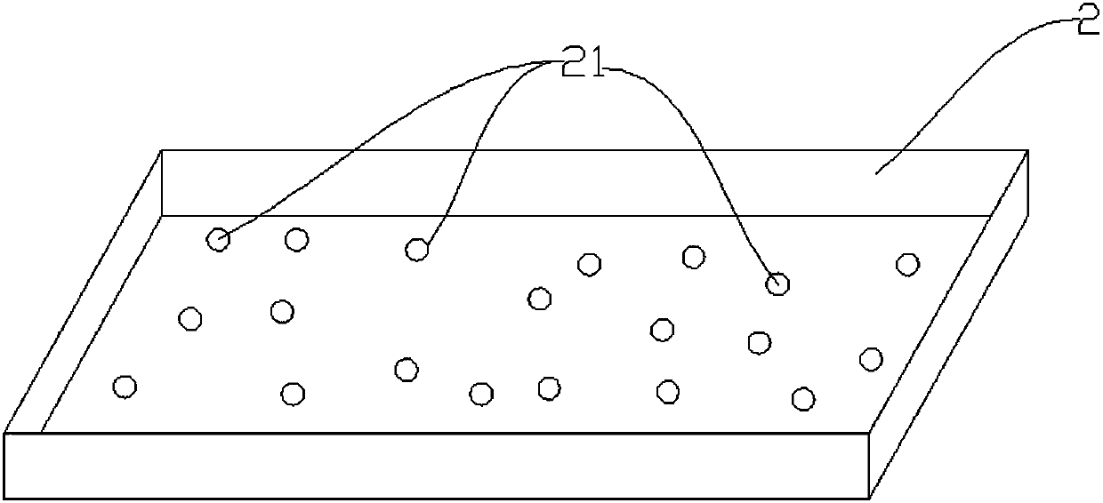 Fast propagation method of macadimia nut seedlings