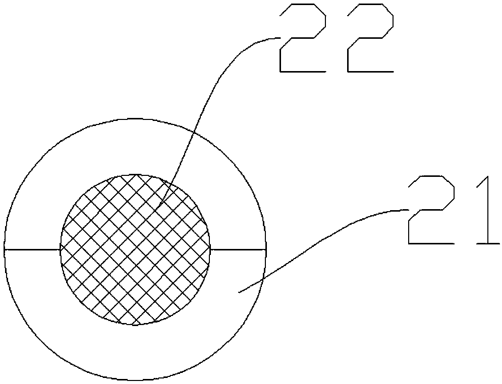 Fast propagation method of macadimia nut seedlings