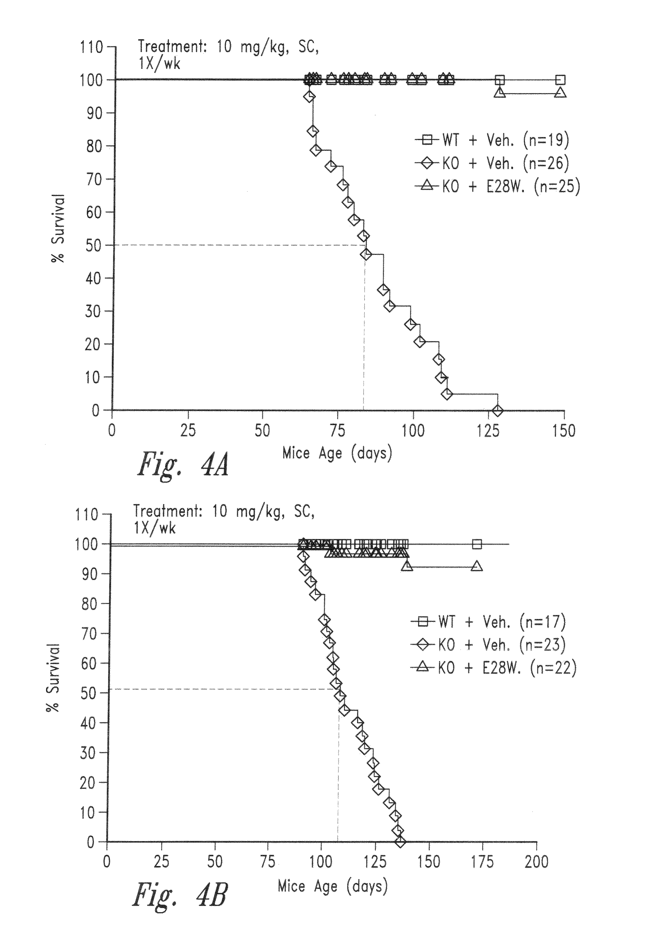 Variant activin receptor polypeptides and uses thereof