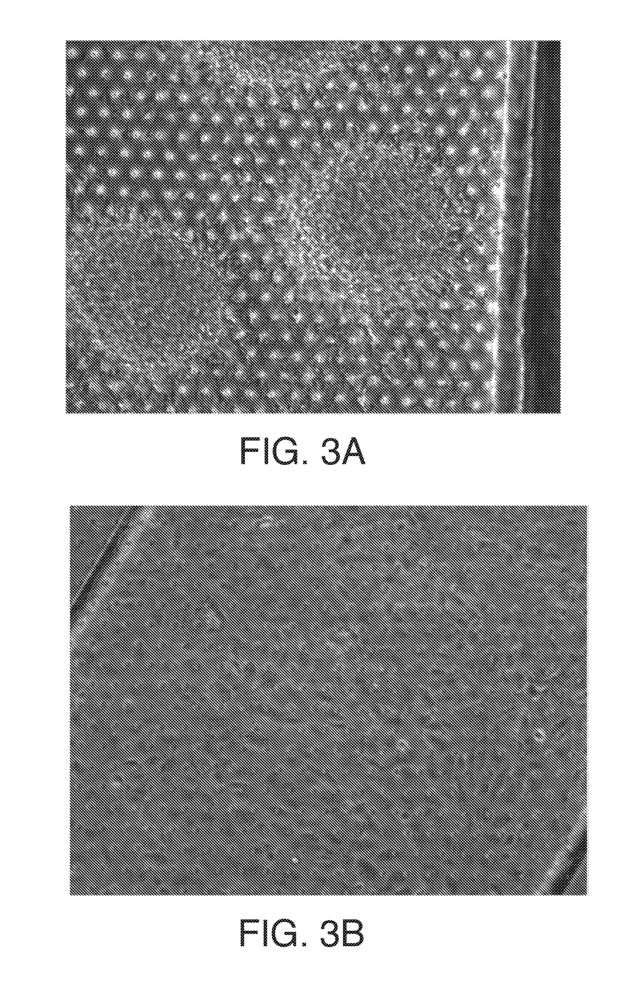 Microfluidic Model Of The Blood Brain Barrier