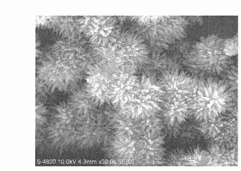 Method for preparing urchin-shaped hydroxyferric oxide and urchin-shaped ferric oxide nano material