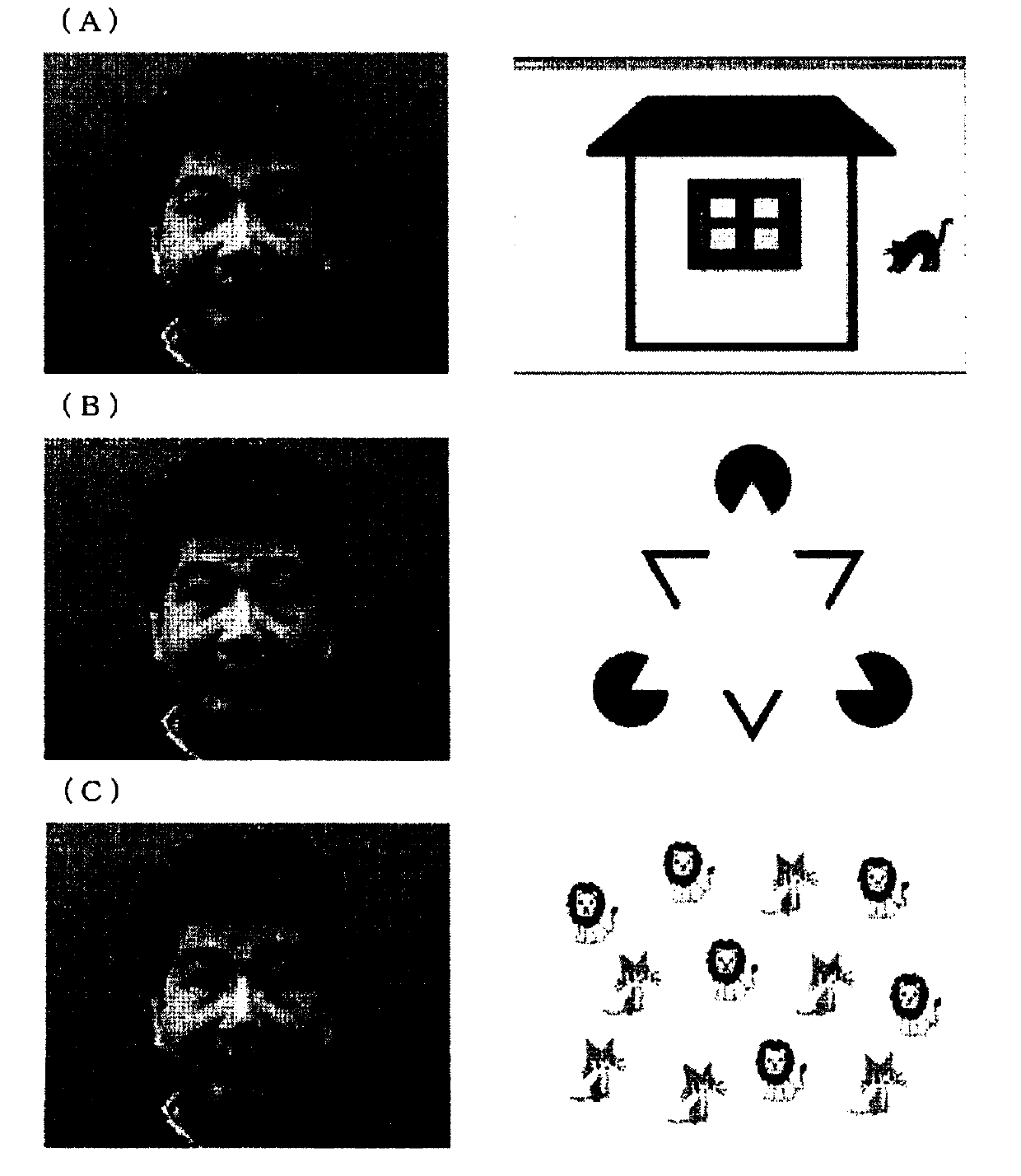 Asperger's diagnosis assistance method and system, and asperger's diagnosis assistance device