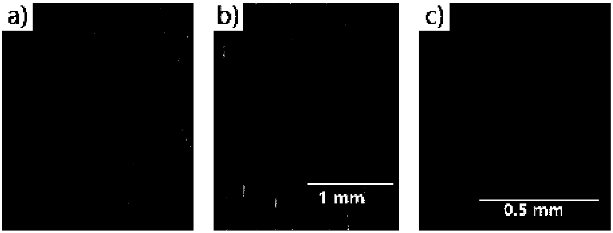 Assembled biological micro-tissue