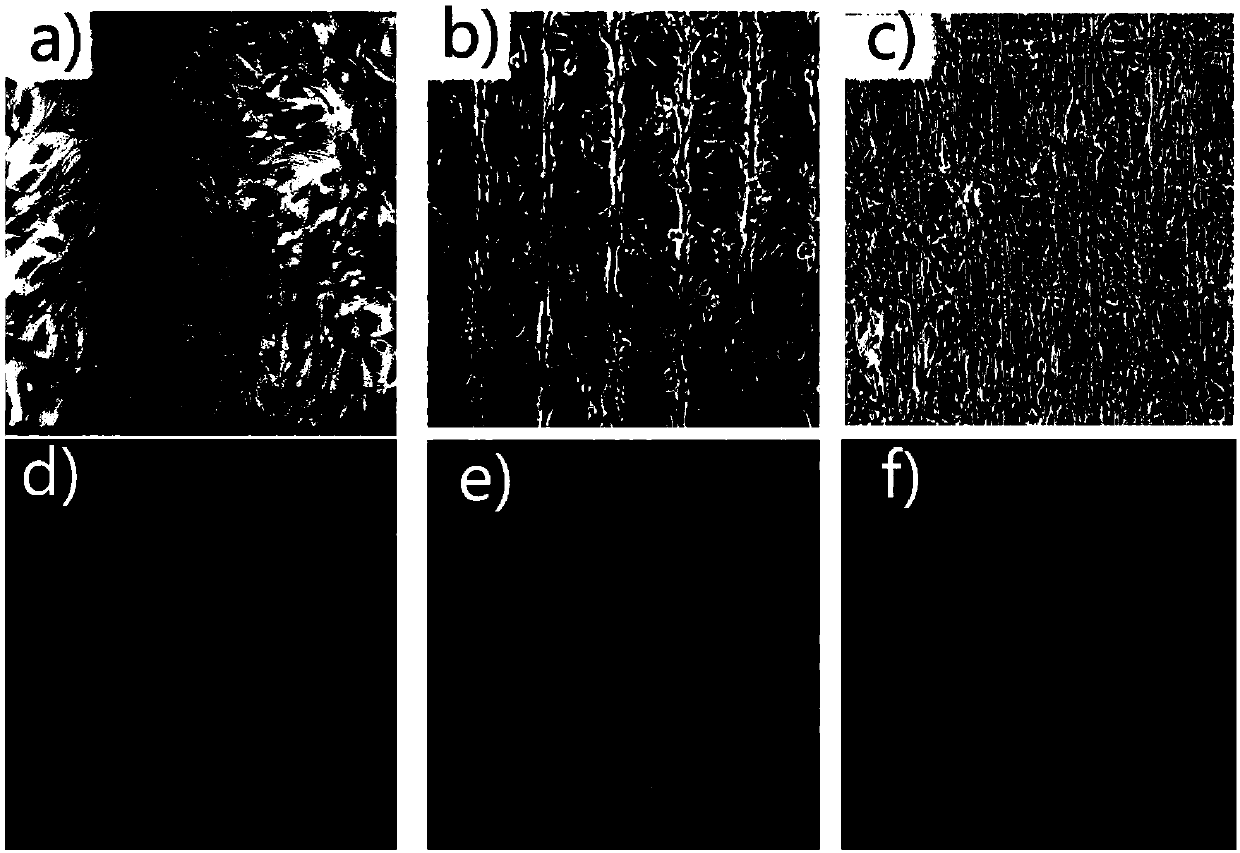 Assembled biological micro-tissue