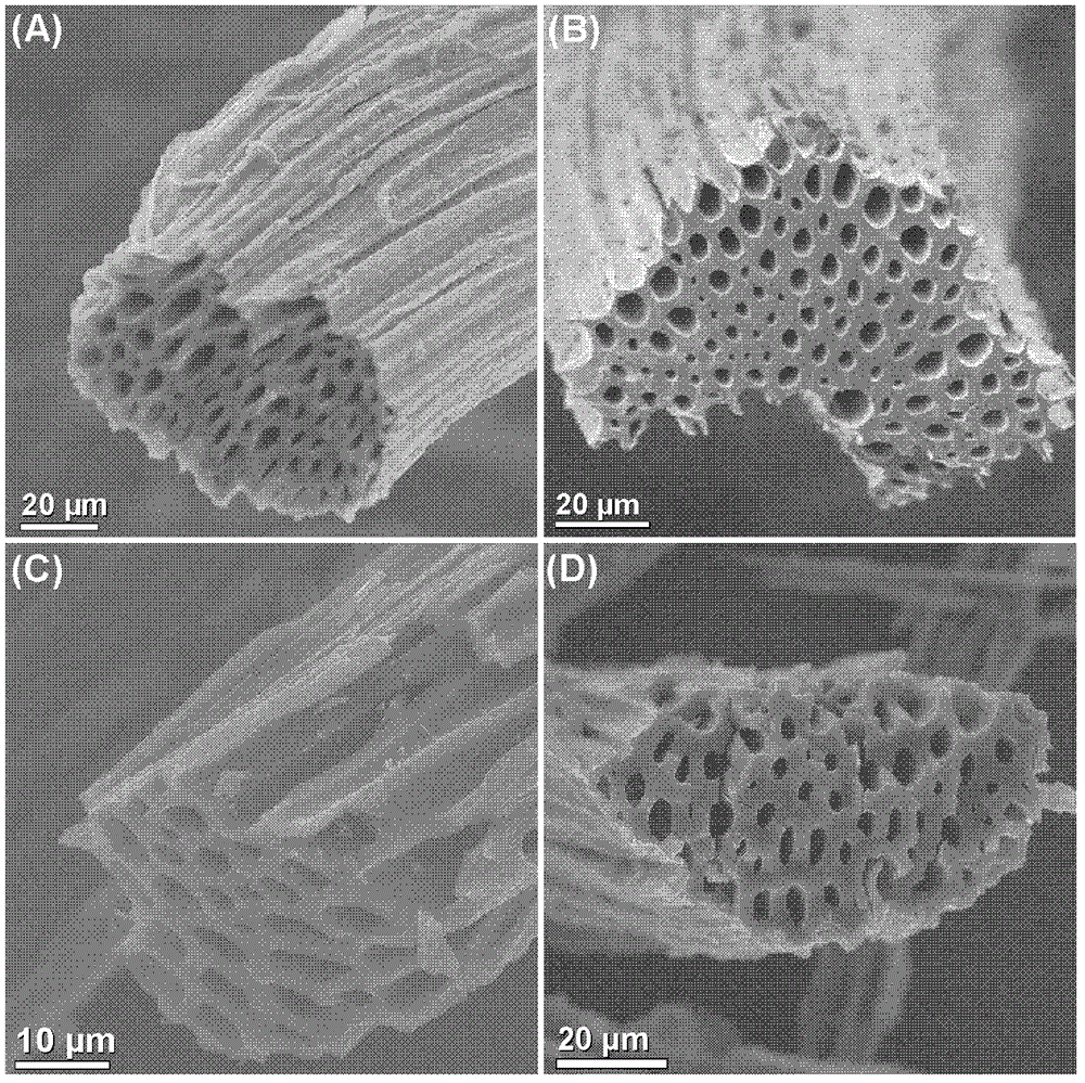 Hierarchical porosity carbon fiber material, preparation method and application thereof