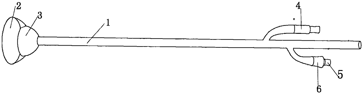 Novel flushable anus drainage tube