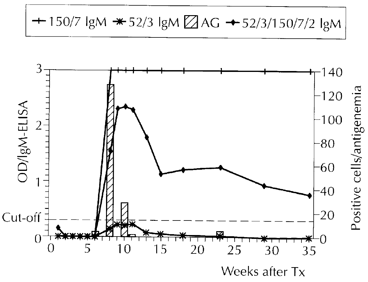 Isolated human cytomegalovirus polypeptides and uses thereof