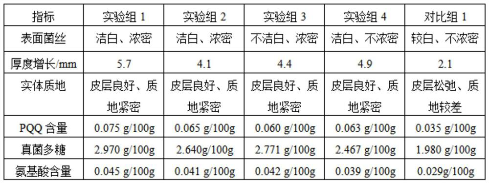 Cultivation method of meat-like Ganoderma lucidum