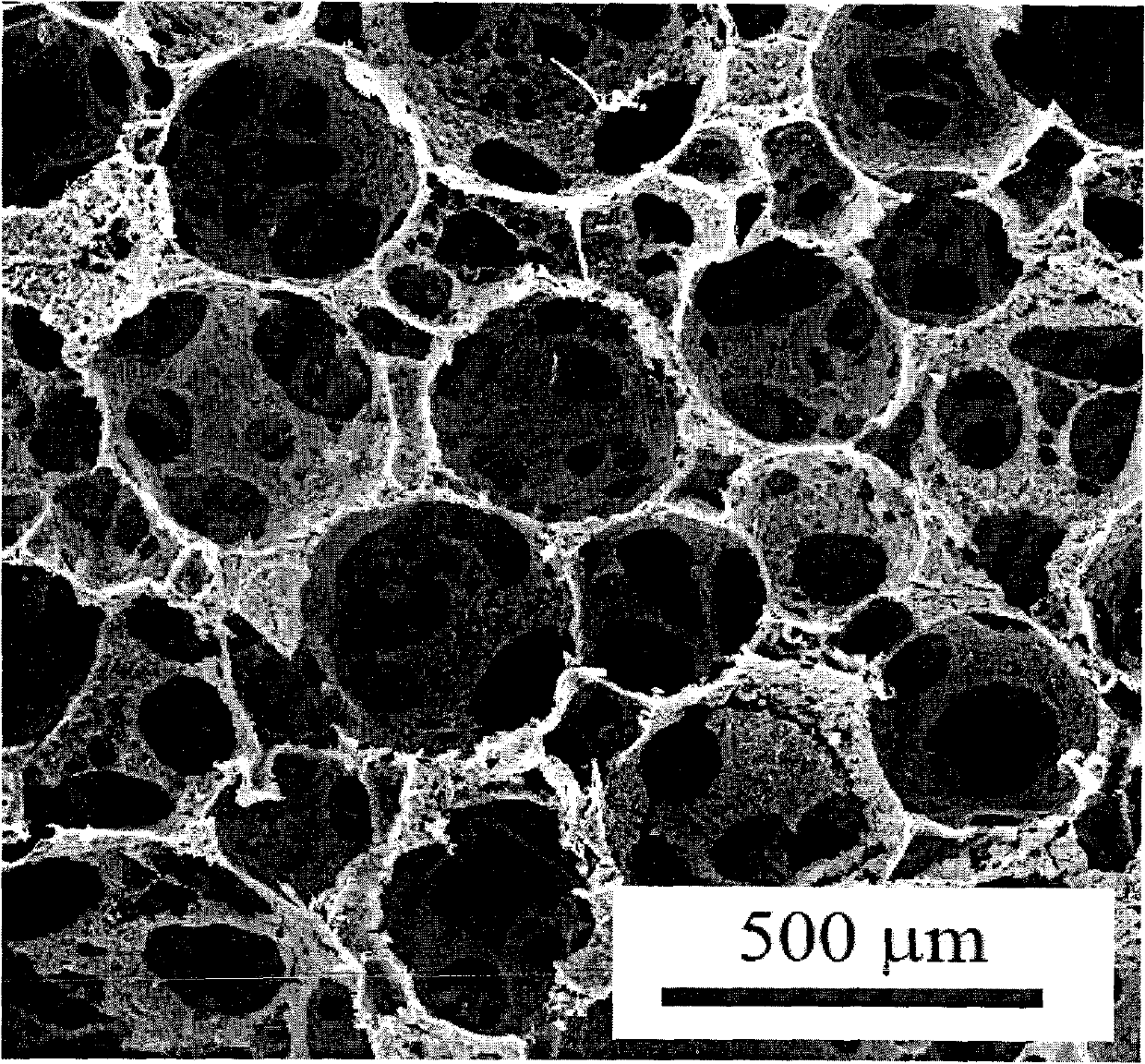 Multi-layer porous scaffold and preparation method thereof